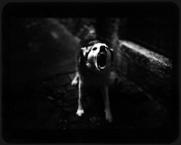 ©Giacomo Brunelli