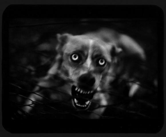 ©Giacomo Brunelli