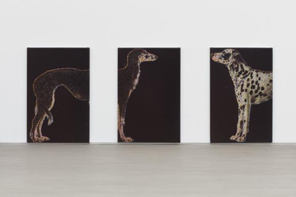 C & D (Dogs) 1, 2, 3, 2016 © Zak Kitnick