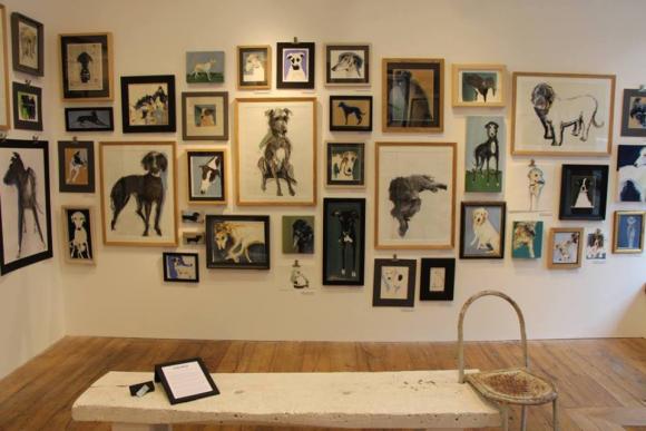 Ausstellung Dogs von Sally Muir © Anthropologie Europe