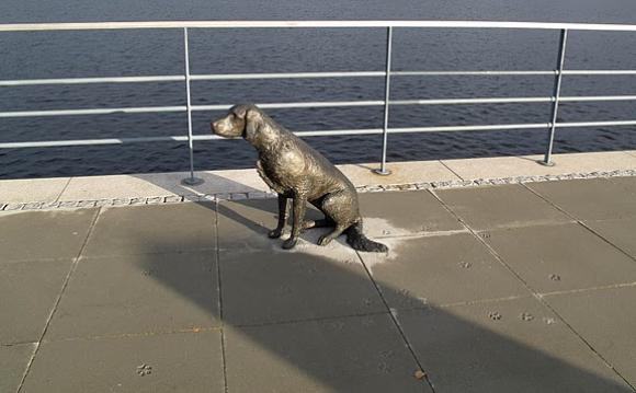 Linnéa Jörpelan - Bronzehund