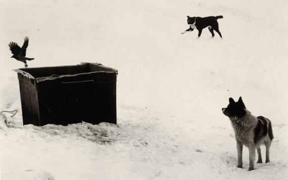 © Pentti Sammallahti