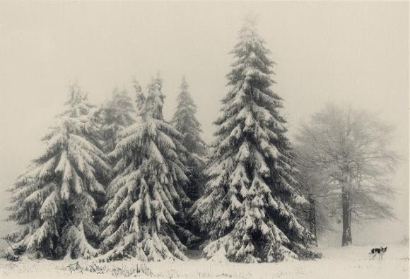 © Pentti Sammallahti