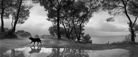 © Pentti Sammallahti