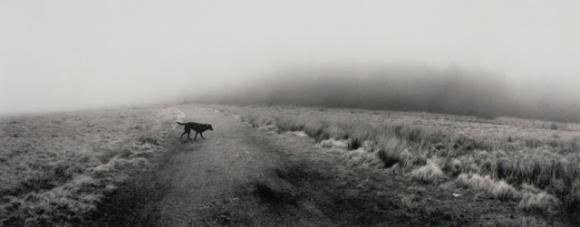 © Pentti Sammallahti