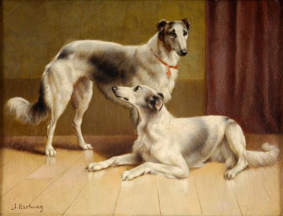 Carl Reichert, Persische Windhunde