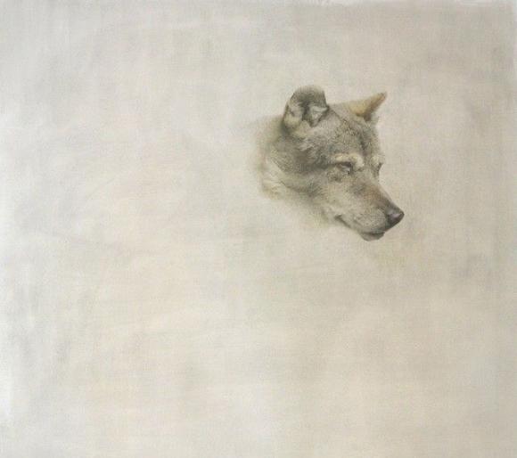 Marzio Tamer, Wolf