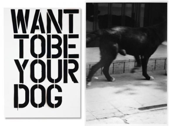 Christopher Wool