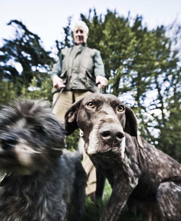 Ciren Dogs © George Brooks