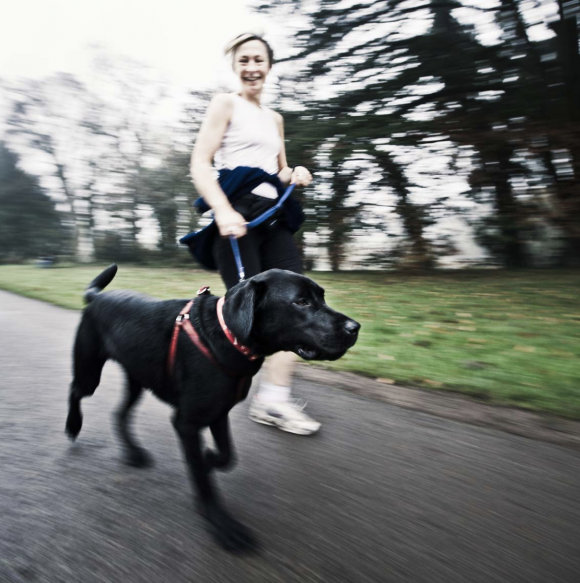 Ciren Dogs © George Brooks