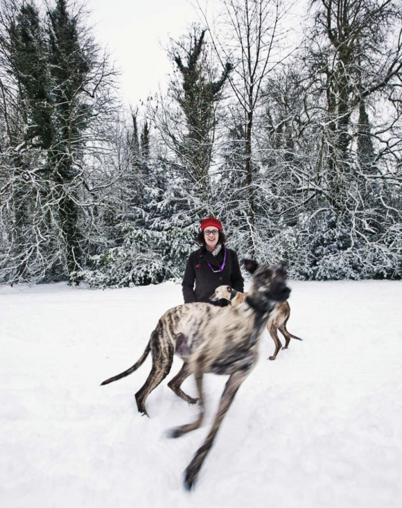 Ciren Dogs © George Brooks