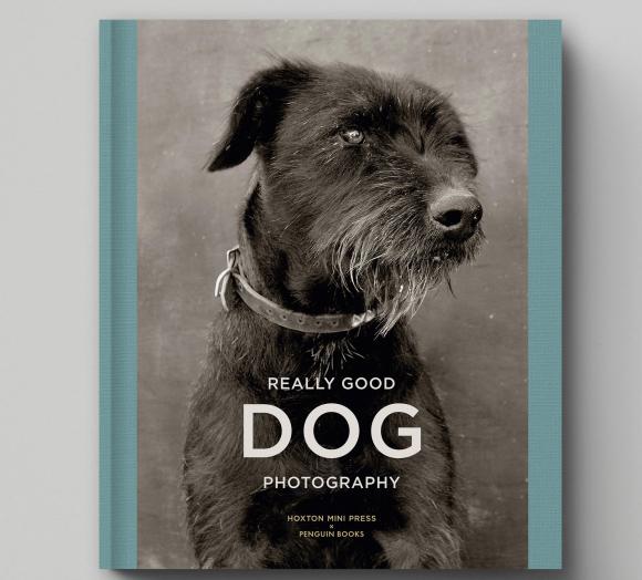 Really Good Dog Photography © Hoxton Mini Press