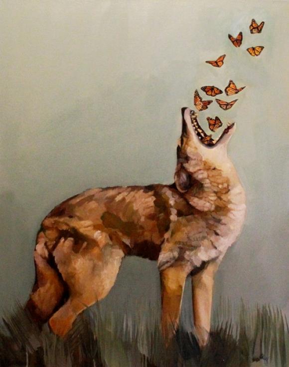 Coyote and Butterflies © Alexandra Loesser