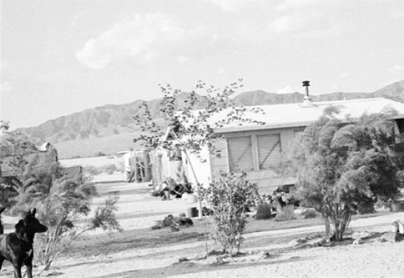 Dogs Chasing My Car in the Desert © John Divola