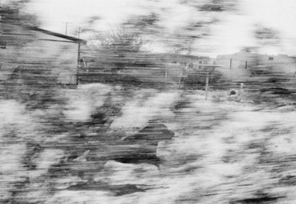 Dogs Chasing My Car in the Desert © John Divola