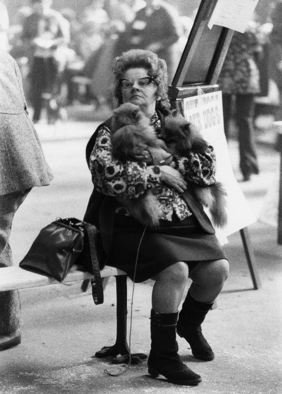 Shirley Baker, Dog Show 1961-1978