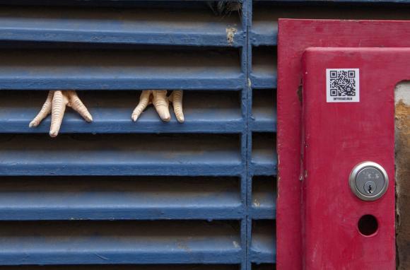 Dan Witz, Empty the Cages 3, Foto: PETA