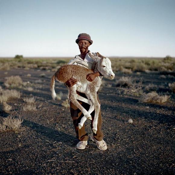 David Tieties with his three-day-old donkey. Verneukpan, Northern Cape, 6 April 