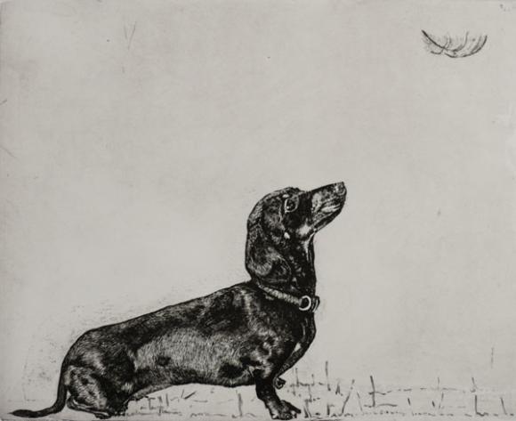 Daxie and Feather © Guy Allen