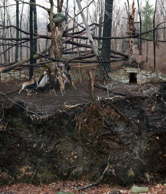 Dead Tree Forest, 2005 © Anthony Goicolea