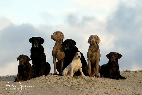 Die Jungs © Anke Jurrack