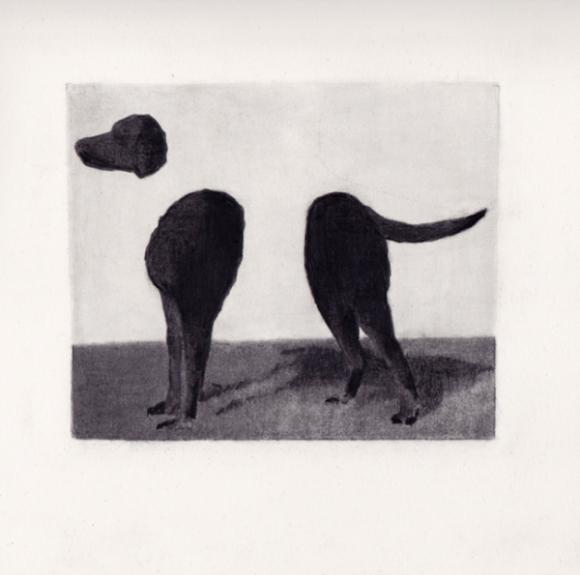 Dog, 2012 © Ryan Mrozowski