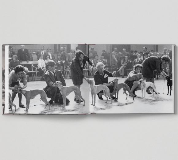 Shirley Baker, Dog Show 1961-1978