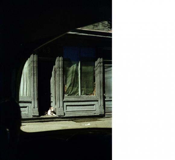 Saul Leiter, Dog in Doorway, 1962