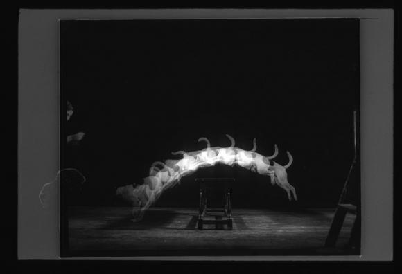 Harold Edgerton, Dog Jackie Jumps a Chair, 1948