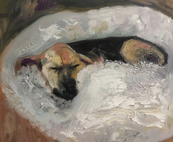 Dog resting, 2020 © Jessica Alazraki