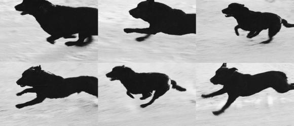 Run Sequence © John Divola