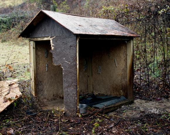 Alexander, NC. 2011 © Matt Brown