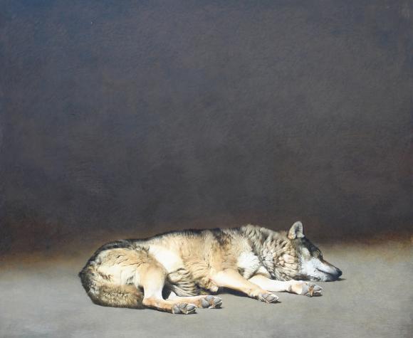 Marzio Tamer, Schlafender Wolf, 2008