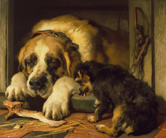 Edwin Landseer, Doubtful Crumbs, 1858-1859 © The Trustees of The Wallace Collect
