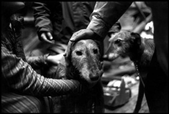 Elliott Erwitt, Spain, Almeria, 1987