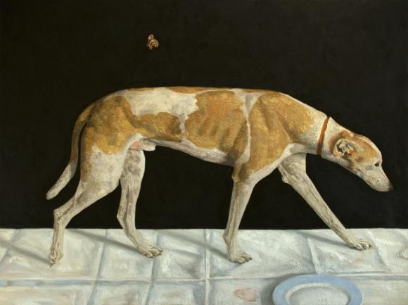 Fabian Jean, Dog and Moth