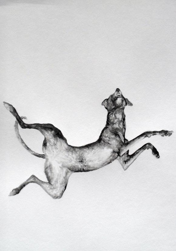 Falling dog © Karl de Vrommen