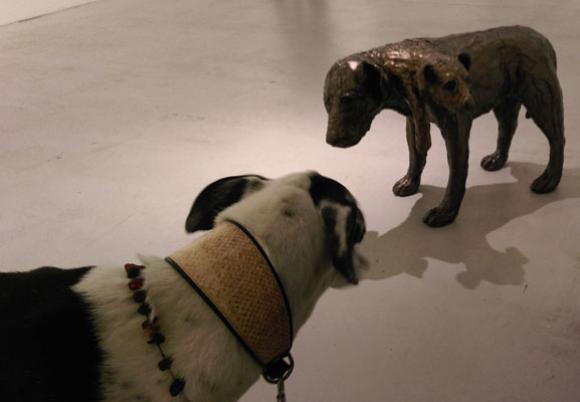 Ein interessierter Ausstellungsbesucher, Foto: ars canis