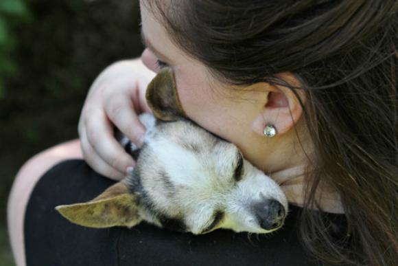 Gretchen and Peanut, together 18 years