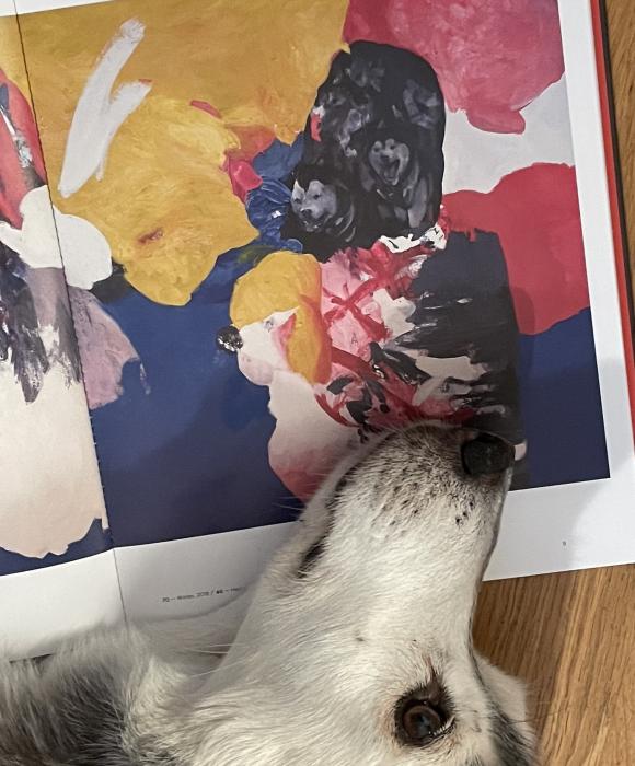 Hedy entdeckt die Huskys in Annedore Ditzes Katalog