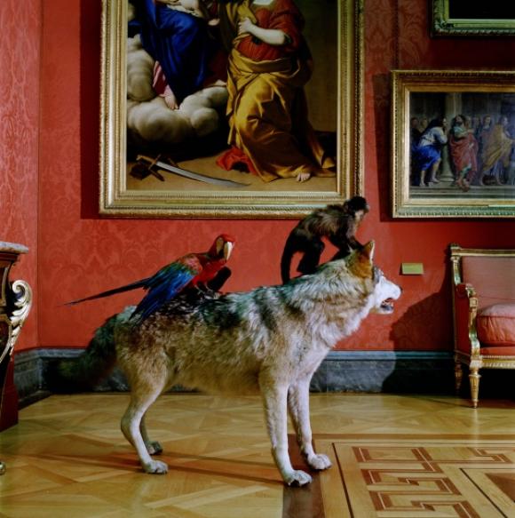 Karen Knorr, Higt Art Life after the Deluge