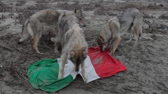 Homo Homini Lupus, 2011, Video Still © Filippo Berta