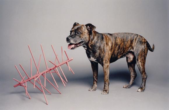 Geronimo, Fotografie, 2007 © Florian Japp