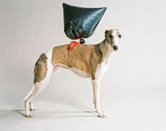 Nadin Maria Rüfenacht, Hund mit Ballon, 2009