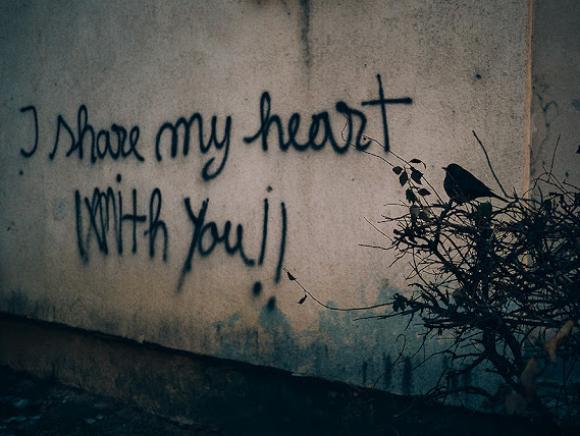 I share my heart with you, 2016 © Tamás Hajdu