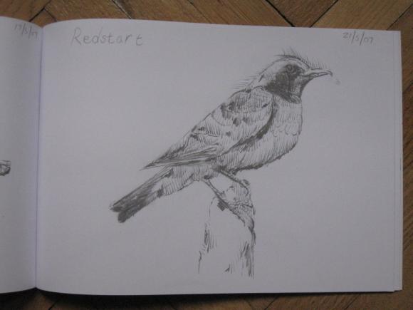 Edwyn Collins: Some British Birds