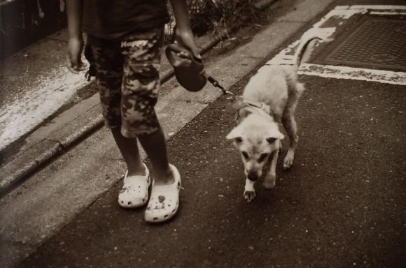 Akihiro Furuta, Son & Olddog