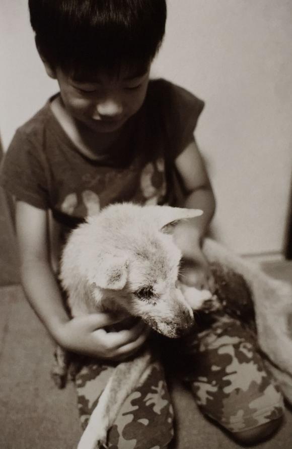 Akihiro Furuta, Son & Olddog