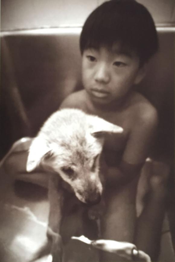 Akihiro Furuta, Son & Olddog