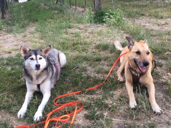 Hedy und Polly, Foto: Mignon Dobler